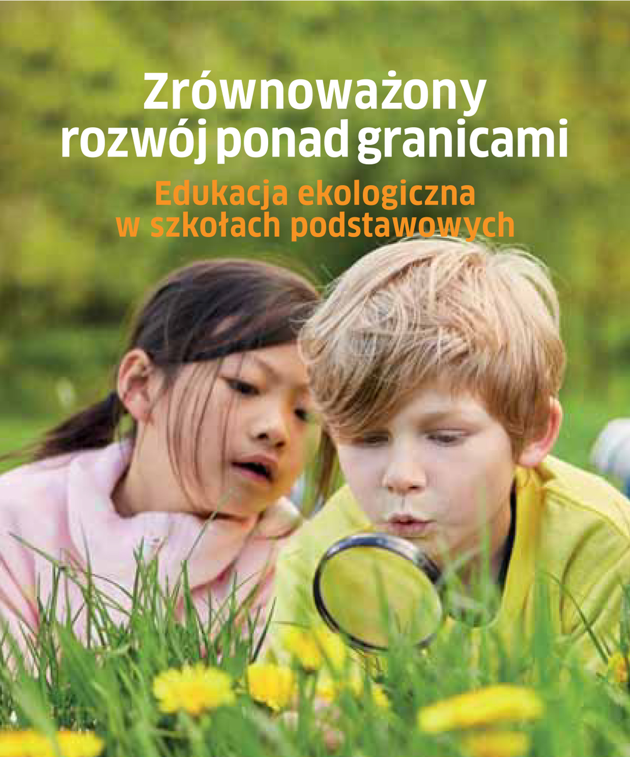 Alt Text